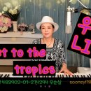 Ticket to the tropics 가사 해석 Gerard Joling covered우순실 POP 2025 08 06 이미지