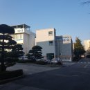 원광대학교사범대학 부속유치원 이미지