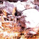 조무락계곡 이미지