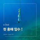 이집트 다합 노핀 프리다이빙 후기 | 라이트하우스 포인트 첫 홍해입수(feat. 다합 다이빙 포인트)