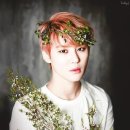 빵블리 이미지