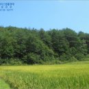 현북면사무소 이미지