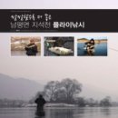 스파이더플라이 이미지