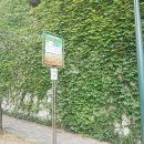 주식회사금호부동산중개법인 이미지