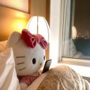 이정준 | 피카츄일상일기_ㅂㅇㅇ의원 코젤코 상담하구온 후기 ••(수술예약 o..)