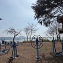 단장체육공원 미디어투데이