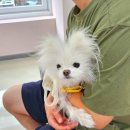 스킨앤이어동물병원 이미지