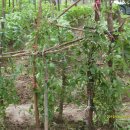 준선농장 이미지