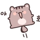 안경스토리 구산점 이미지