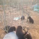 오메오메 이미지