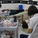 아이리스 아카데미 이미지