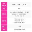 제29회 비슬산 참꽃 문화제 | 비슬산 참꽃축제(축제는 취소)-참꽃 개화 예상시기는? 등산은 가능(참꽃구경)