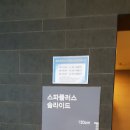 미란다호텔 스파플러스 티스토리