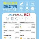 국제빨래방 이미지