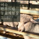 수산한우농장 | 여수 돌산 가볼만한 곳 한우드림 입장료 먹이 금액 안내