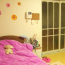 갈마초등학교 이미지