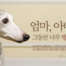 두리공방 이미지
