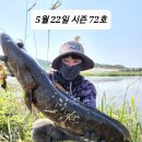 다구리 이미지