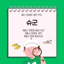 슈군