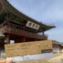 연은초등 | [30주/수원나들이] 수원화성 당일 4시간 코스 추천 - 열기구(플라잉 수원), 국궁체험관 등