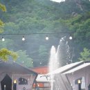 둥지파크 이미지