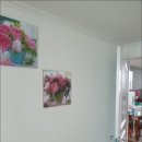 도배나라 이미지