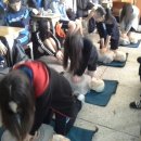 잠신중학교 이미지