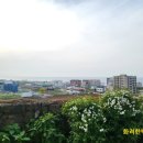 캐슬블랙스톤2 이미지