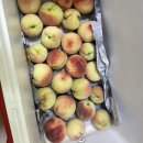 풍년농약마트 이미지