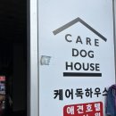 케어독 하우스 | 충북 진천 혁신도시 케어독 피크닉 멍크닉