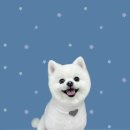 하얀이언니네 이미지