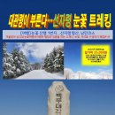 세림목장 Daum카페