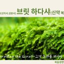 32-33주(5/6-수)＜브릿 하다샤＞-"베하르(눅4:16~21),"베후코타이(마16:20~28,마22:1~14)(신약 복음서읽기) 이미지