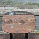 자원(주) | 충주/단양 2박3일 여행(8편)-충주댐 겹벚꽃 만개