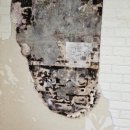 세한약품 이미지