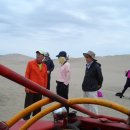 수수께끼 이미지