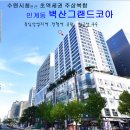 수원시청 티스토리
