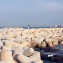 청사포로 이미지