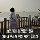 오지의 펫테이블 | 프라자호텔 씨원 리조트 자은도 애견동반 디럭스 패밀리 펫룸 바닷가 위치 산책길 애견운동장 정보 총정리