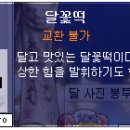 달꽃 이미지