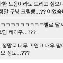 리썸케이크 이미지