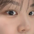응암속눈썹펌｜그리마눈썹, 예민한 눈도 가능한 펌 후기
