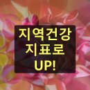 늘푸른노인복지관(26056) | 건강지표 지역사회 건강 지역사회 건강 증진 사업