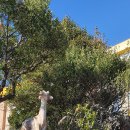 장생포초등학교 이미지