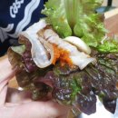아일리플레르