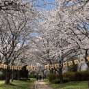1순환로(3-170) 네이버블로그