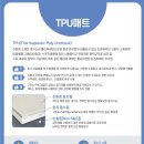 코아루 애견 이미지