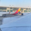 트라비건 이미지