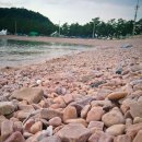 벌말농장 이미지