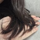 에클라헤어 - 미추홀구 미추홀대로 591 | 에클라 헤어미스트 사용 후기 : 모발 관리, 뿌리는 헤어에센스 추천